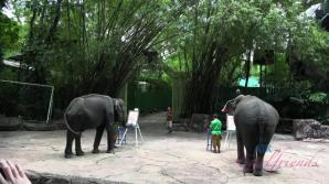 Kenzie meets all the wild animals she could imagine!