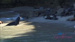 Macy Meadows La Jolla Part 1