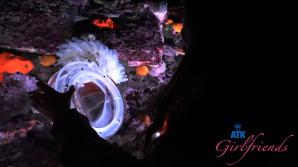 Summer Renee Norcal Part 5